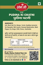 Pudina Chatni (पुदीना चटनी)